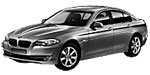 BMW F10 P1D5D Fault Code